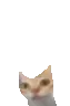 er
