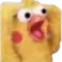 birdwtfpog