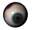 eye