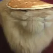 domfat