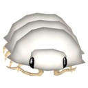 isopod Discord emoji