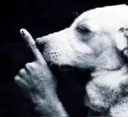 shhh