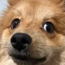 misosideeye