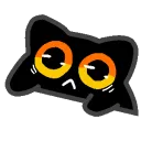 bongo