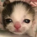 emoji_8