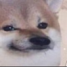 heh Discord emoji