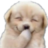 hehedog Discord emoji