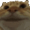 YesCat Discord emoji