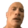rocksusanimated