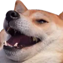 rdogheh