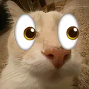 DoseVoid DoseVoid