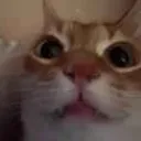 ok