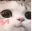 7482uwucat1