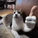thumbsup thumbsup