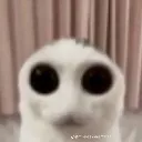 euvieuvicoisasestranhas