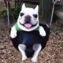 emoji_13 emoji_13