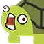panic_turtle