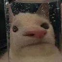 BUH