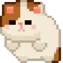 BIGCAT