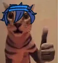cat_luni_thumbs_up_criescutely