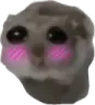 hampterblush