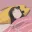 sleepy