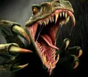 sacrocaudal