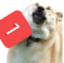 ping
