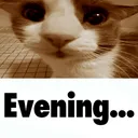 goog_evening
