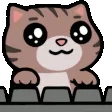 cohhBadkitty cohhBadkitty