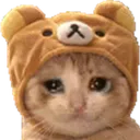 strayyycry strayyycry