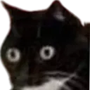 strayyystare