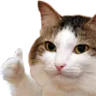 thumbsup