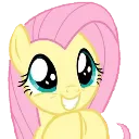 flutterplead