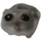 HamGu