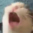AAA