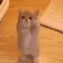 Please