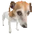 si