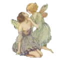 3_fairy