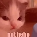 Not_hehe