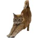 CryptStretch
