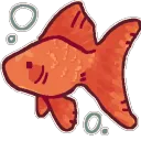 z_wyls_goldfish z_wyls_goldfish