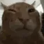 buh