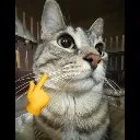 catmewing2