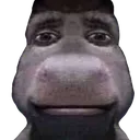 donkey