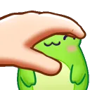 HeaadPats