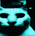 boomcat