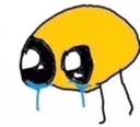 cri