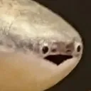 sacabambaspis1