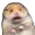 hamsterr